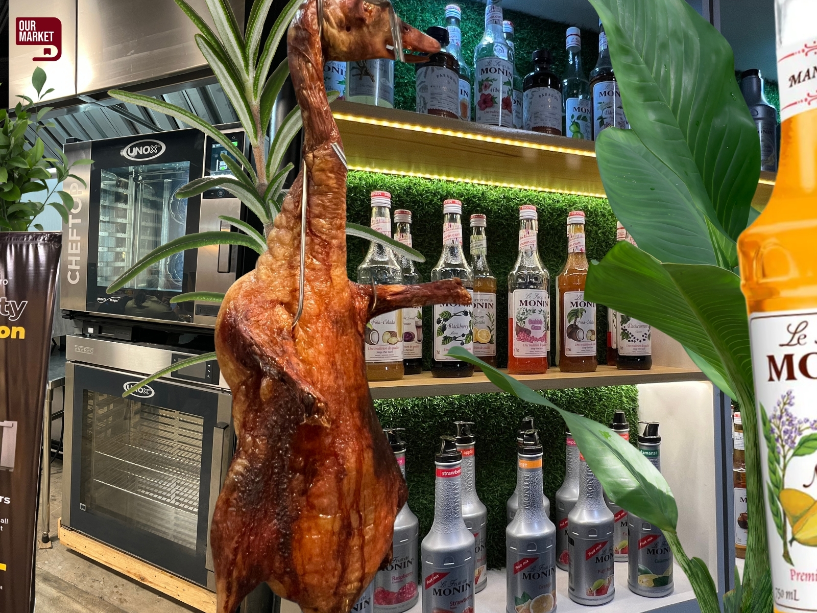 Cacao farm with trees, ripe cacao pods on branches, hand holding opened pod, and sack of dried cacao beans.