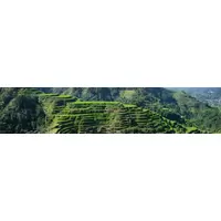 Luzon Products | Iskaparate