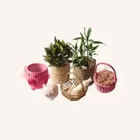 Home and Garden | Iskaparate