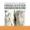 Fresh Oyster Mushrooms 300g | Iskaparate